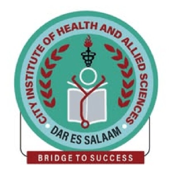 City Institute Logo